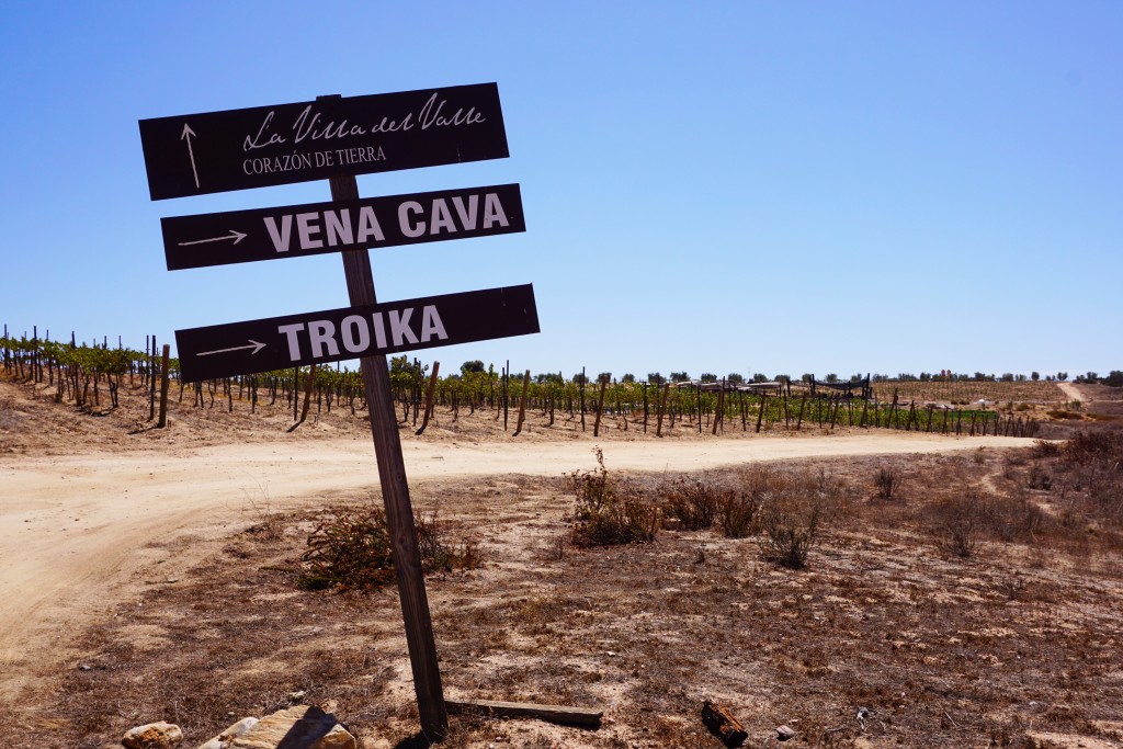 La Ruta Del Vino in Valle de Guadalupe Top 10 Wineries To Visit